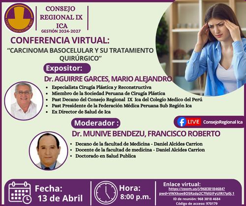 CONFERENCIA VIRTUAL