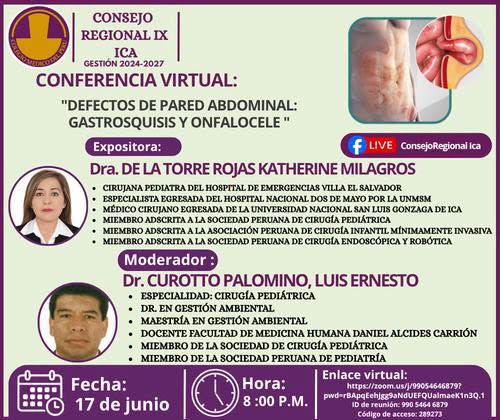 Conferencia Virtual