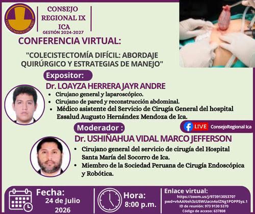 Conferencia Virtual