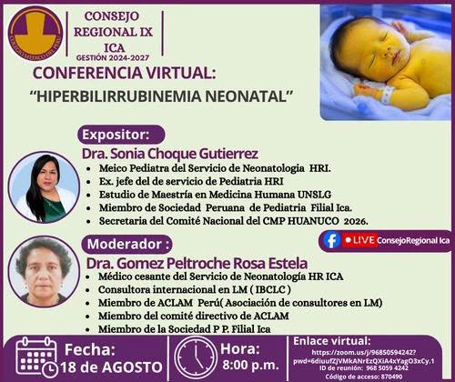 Conferencia Virtual